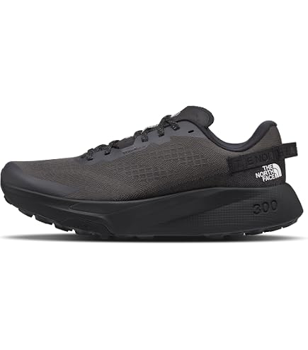 Amazon.com | The North Face Altamesa 500 V2 Trail Running Shoe
